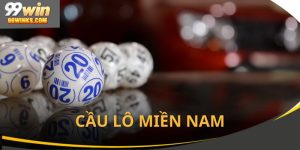 cau-lo-mien-nam