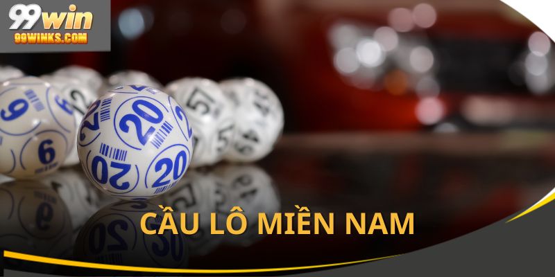 cau-lo-mien-nam
